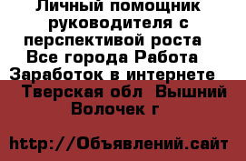 Личный помощник руководителя с перспективой роста - Все города Работа » Заработок в интернете   . Тверская обл.,Вышний Волочек г.